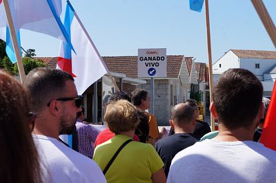 2016 08 06 ManifaServicarneFrigolouroPorrinho25.JPG